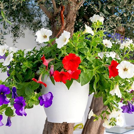 Villa Del Capo Suites Rhodes City Zewnętrze zdjęcie